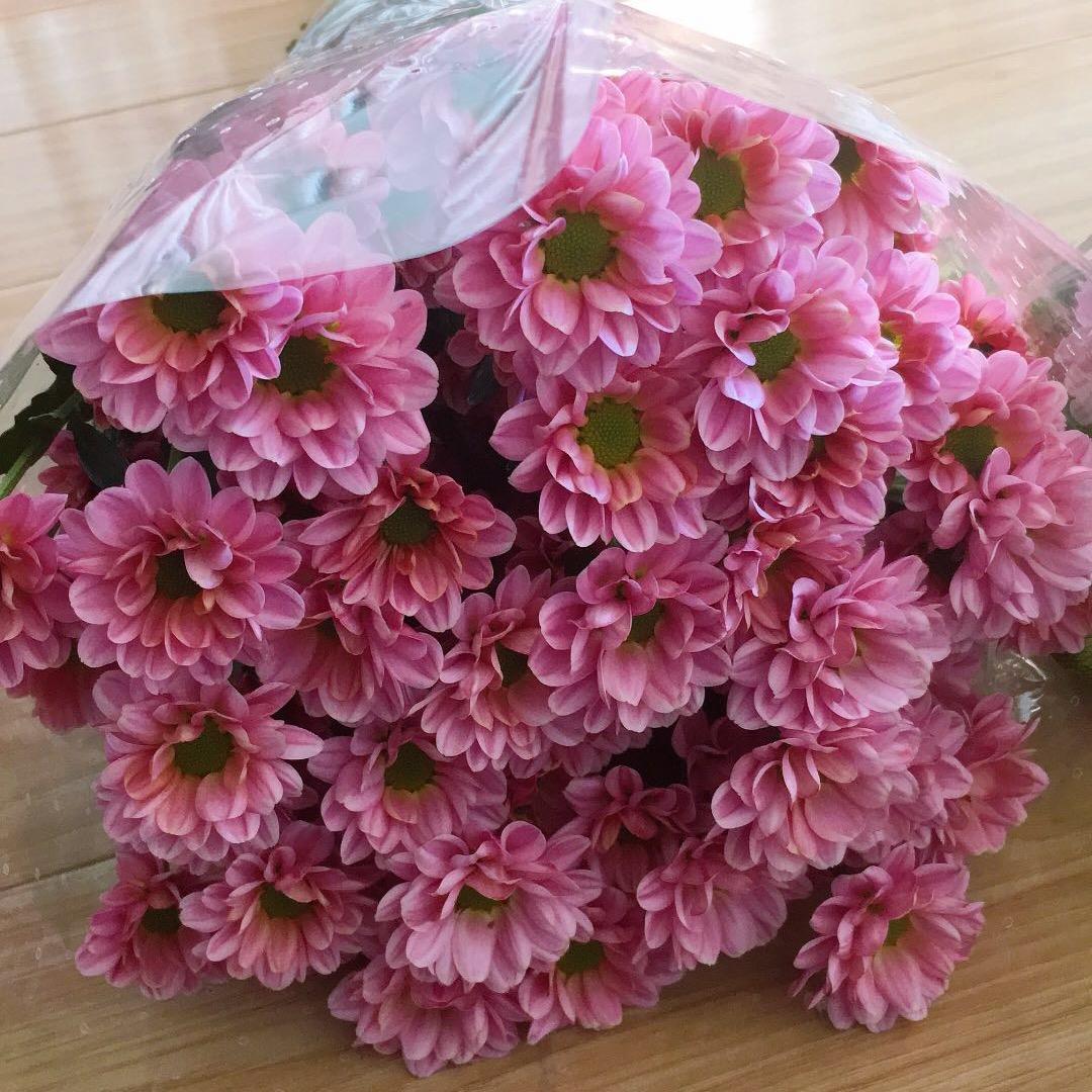 姑娘变妈貌美如花