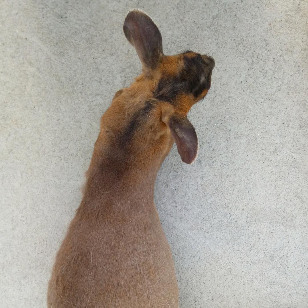 天柱山老朱农家乐