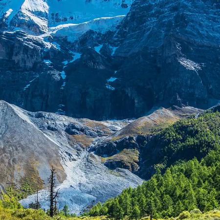 奋斗吧！风子哥