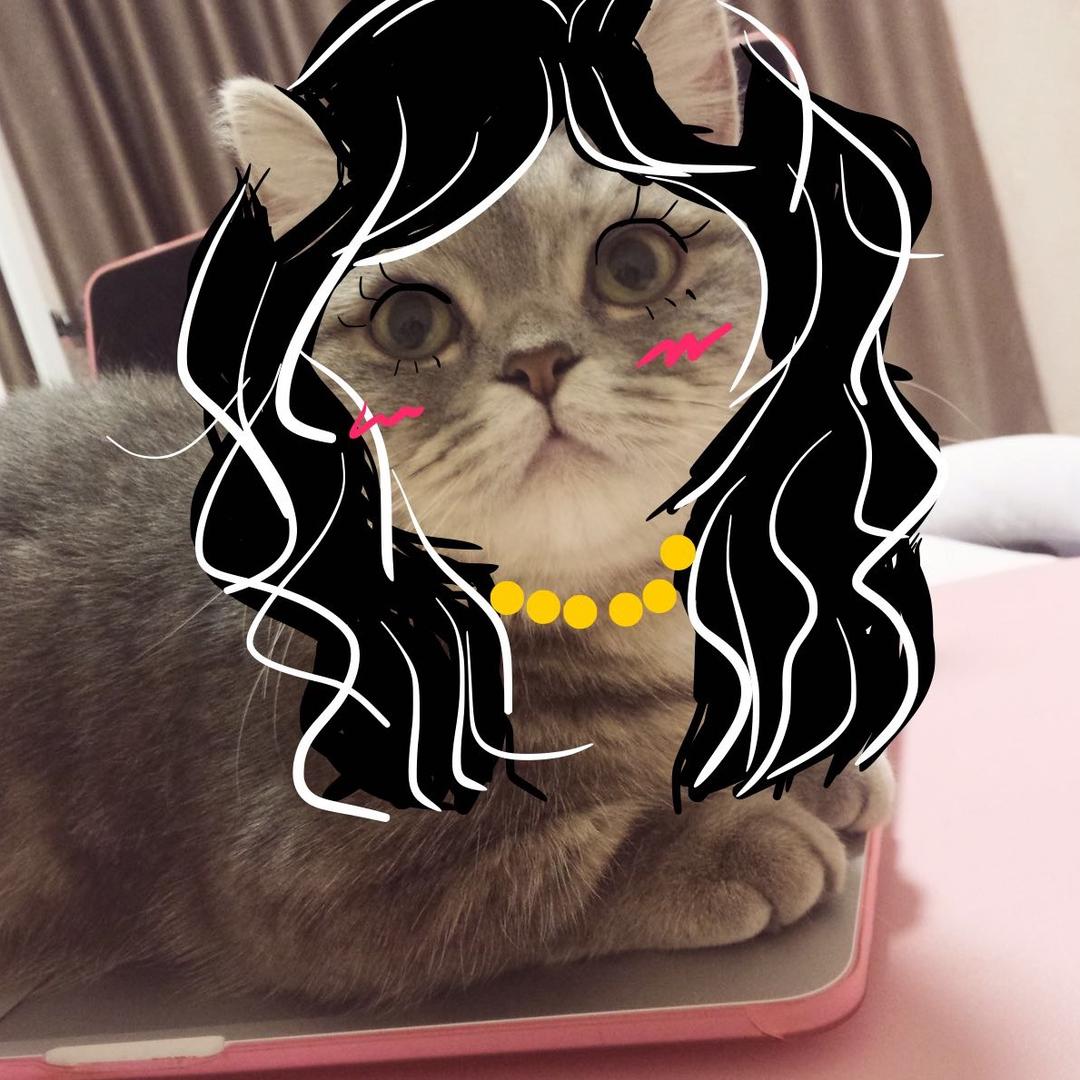 猪中贵妇小candy