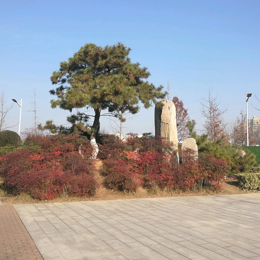 鱼众不同