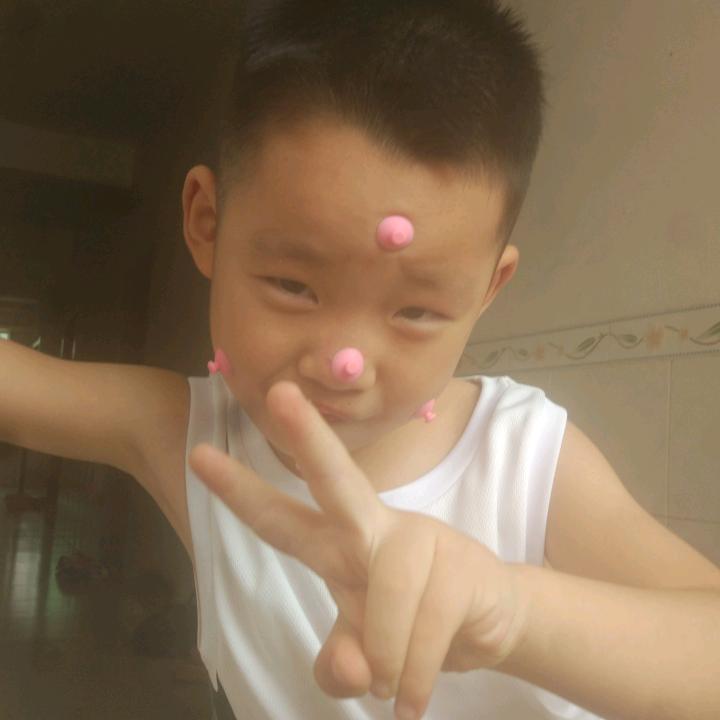 高家大小姐