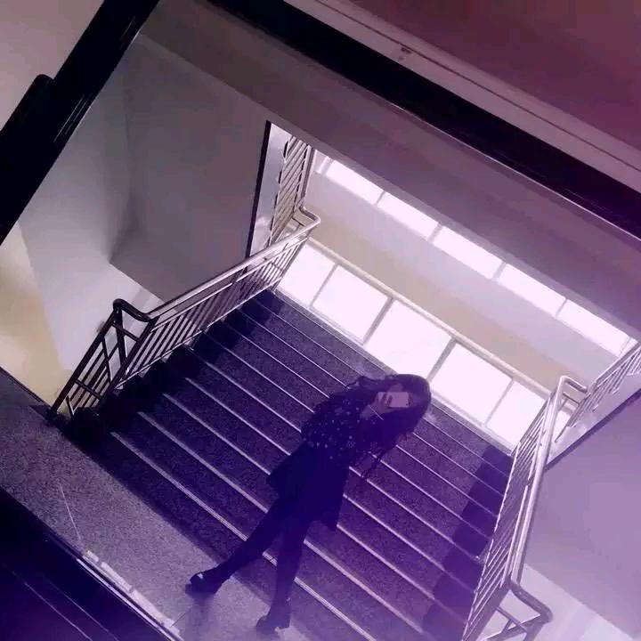 风一样的翱翔