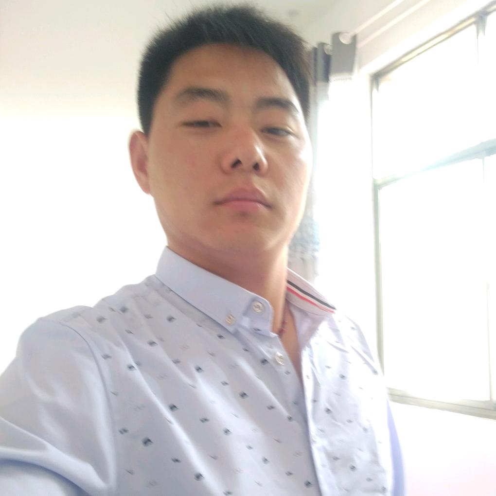 罗豪