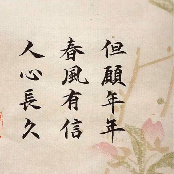 夜空中最亮的星⭐⭐