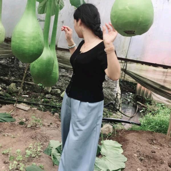 艳芳