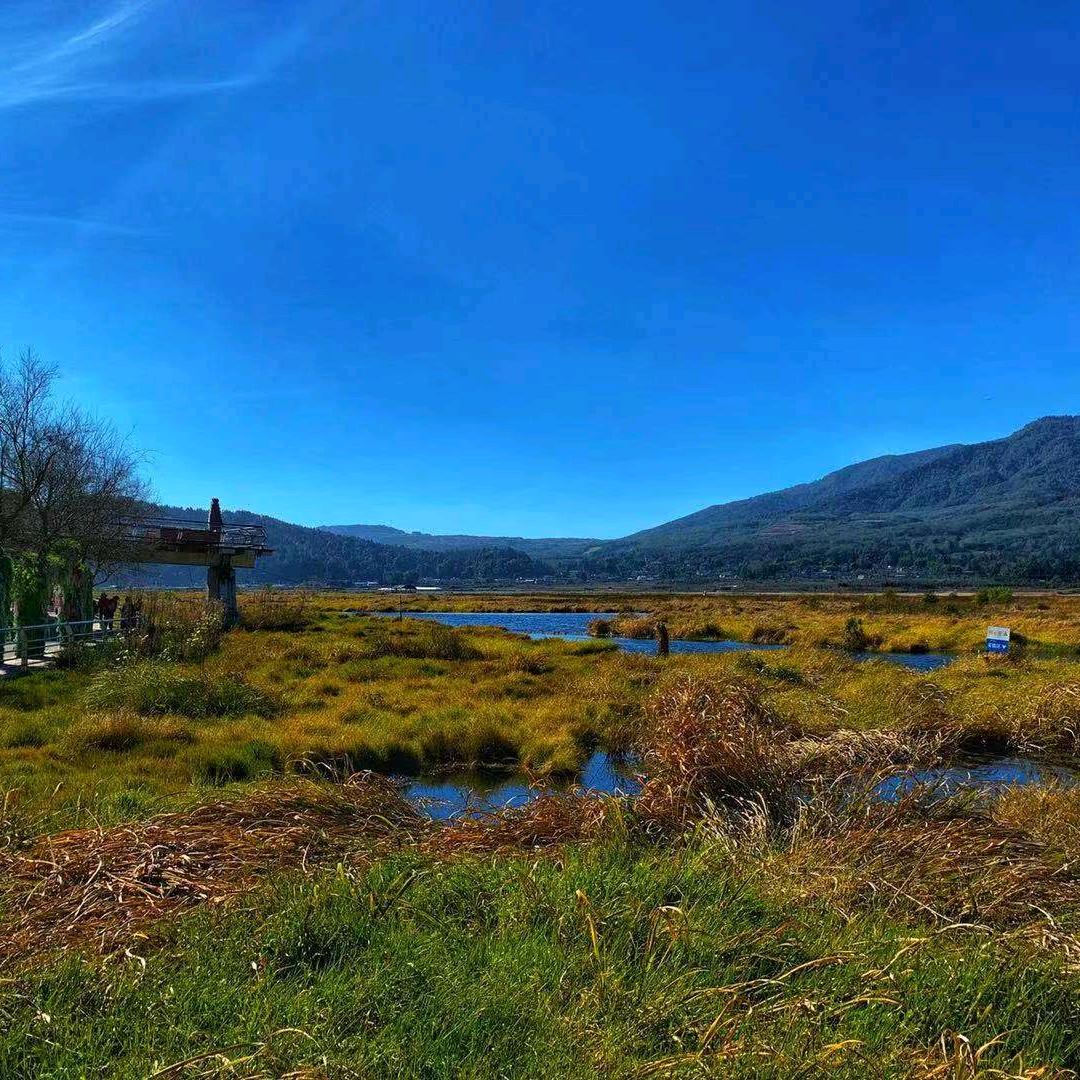 🌹((❤️行云流水❤️))🌹