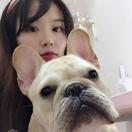 上海股神佳贵妃