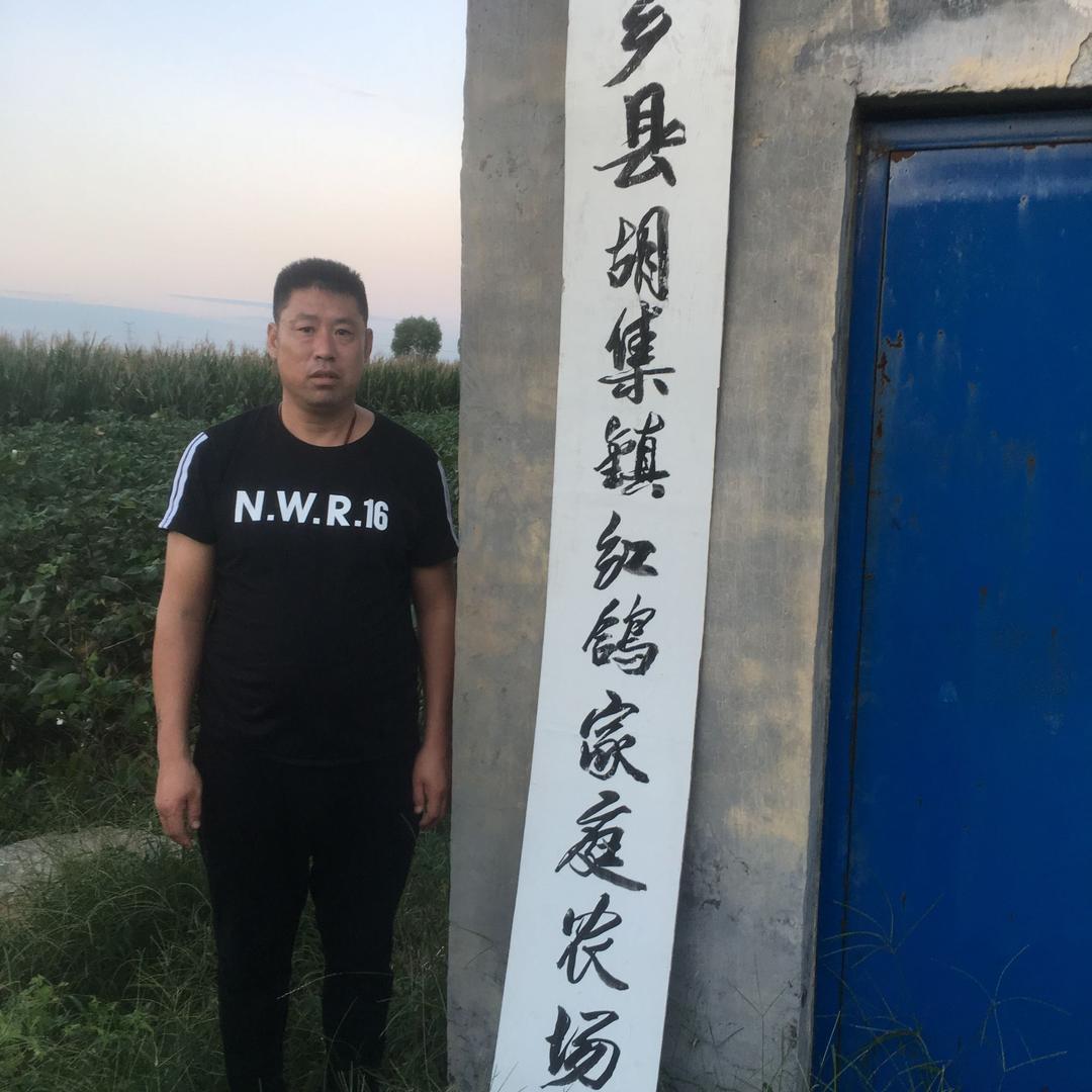 白菜帮