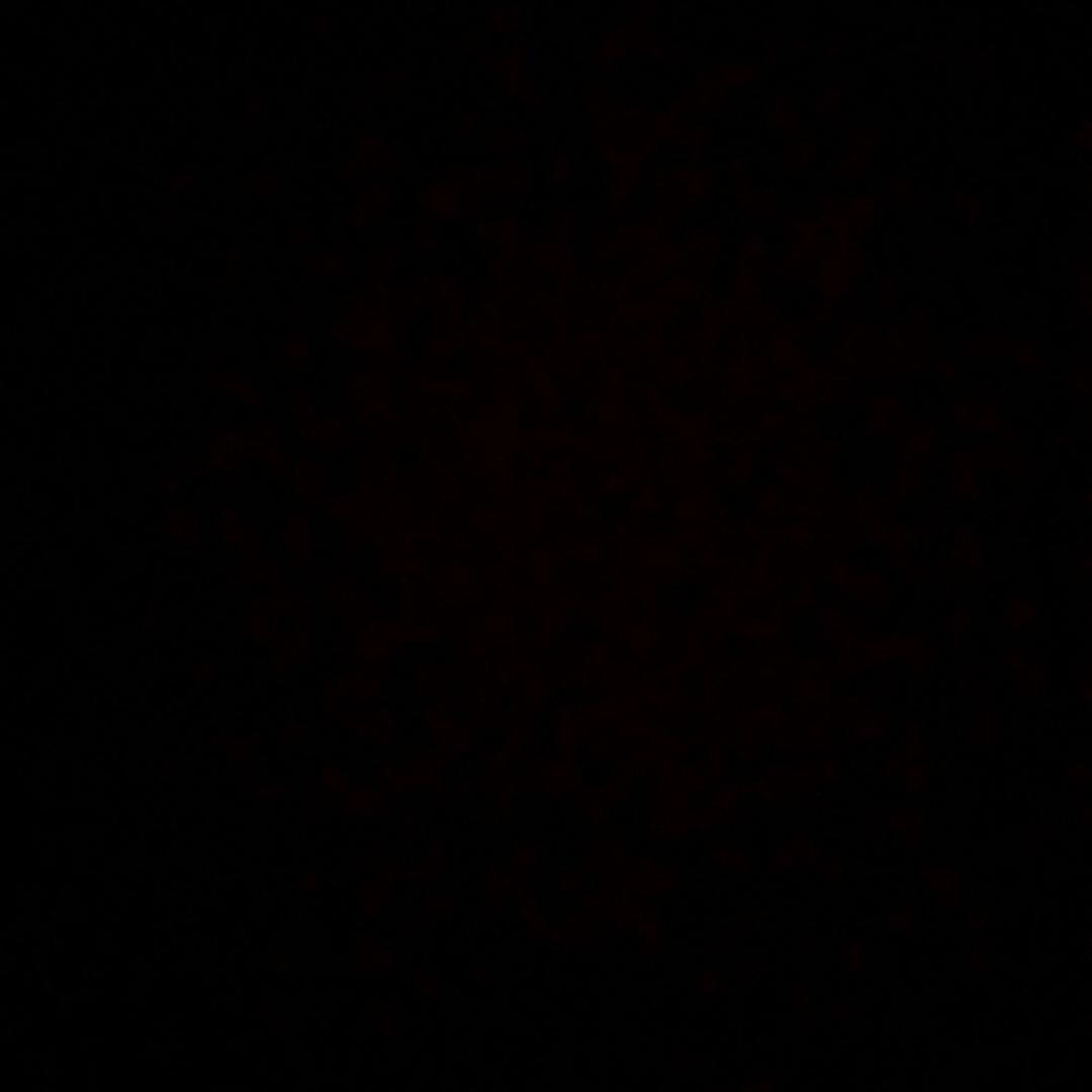 一只西瓜