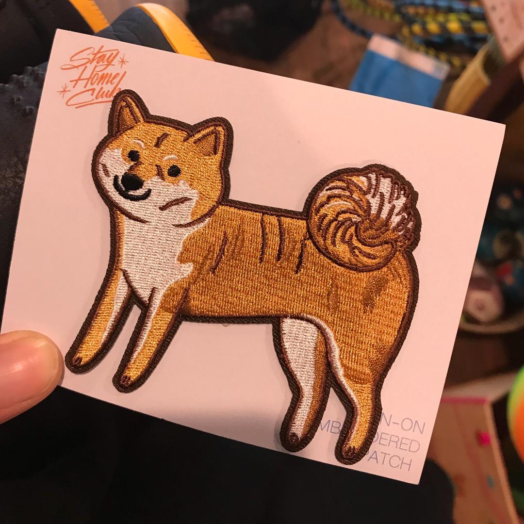 沈梓捷zzz