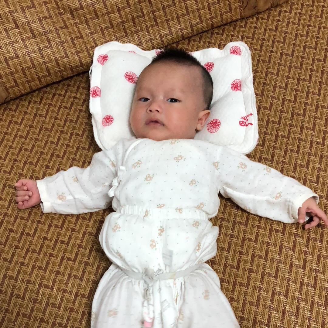 小鱼儿
