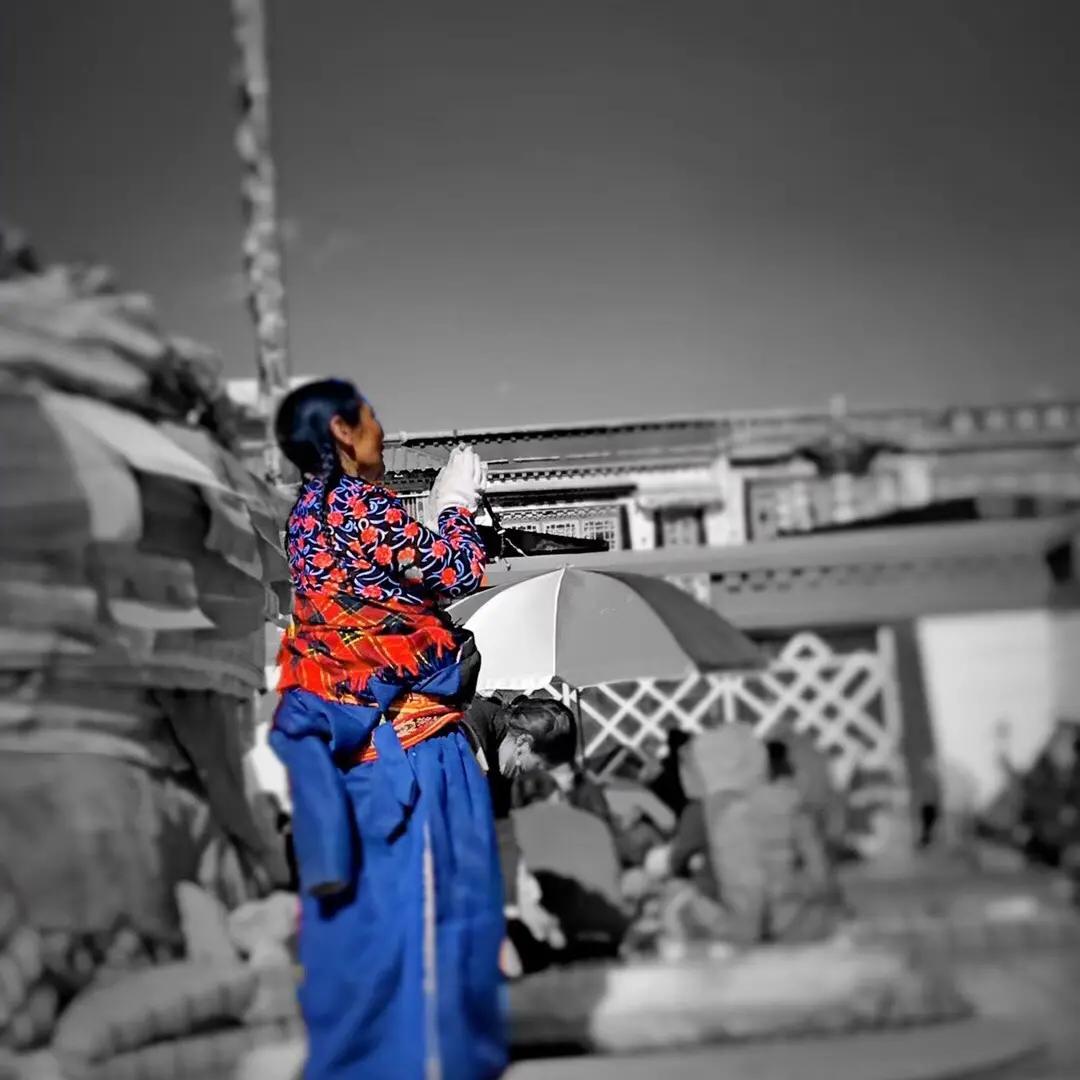 老品酒厂皮梭梭