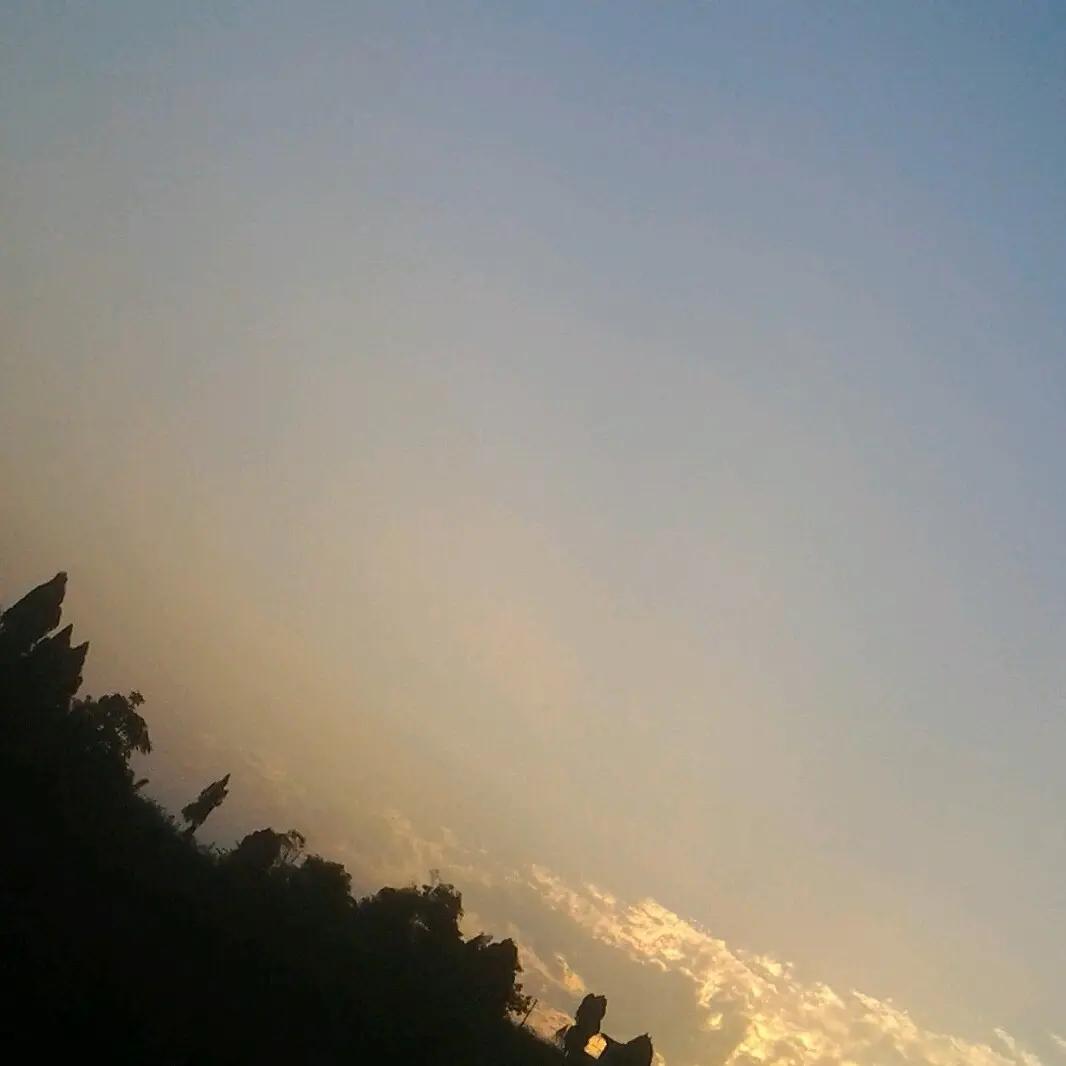 阳光灿烂