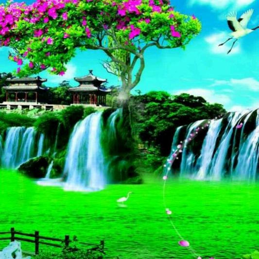 萧洒自在