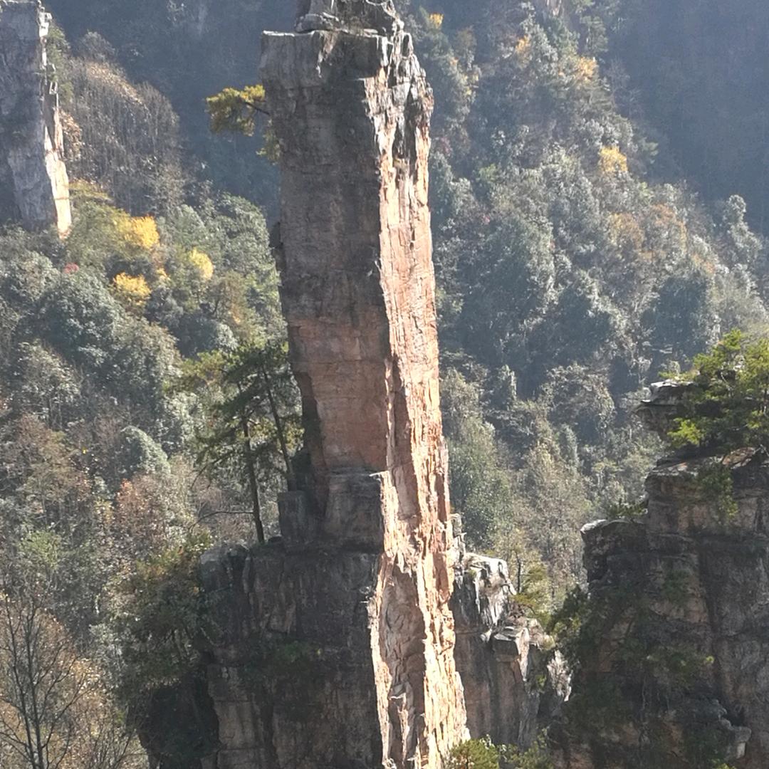 小兴安岭深处