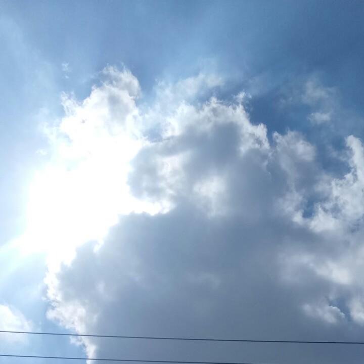 明月心