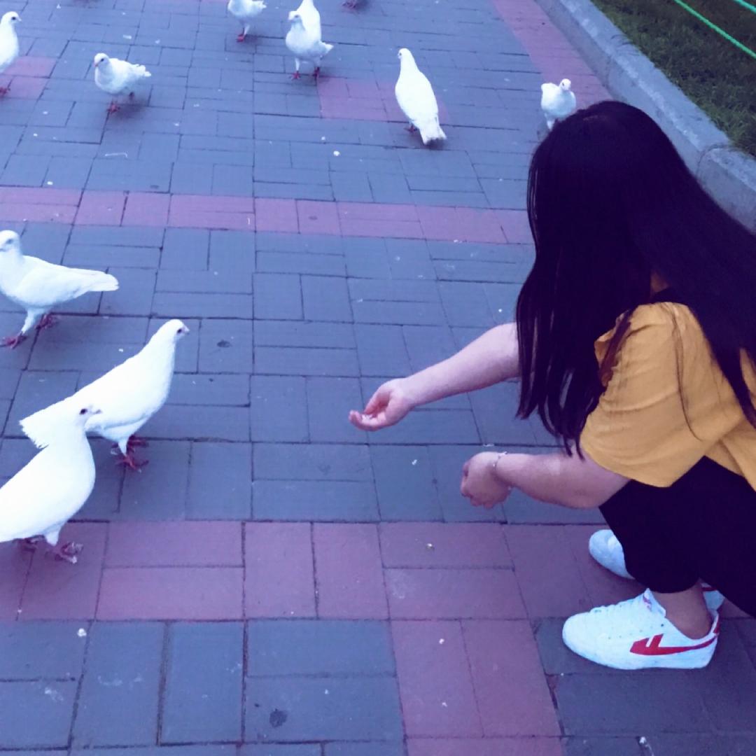 车厘子子
