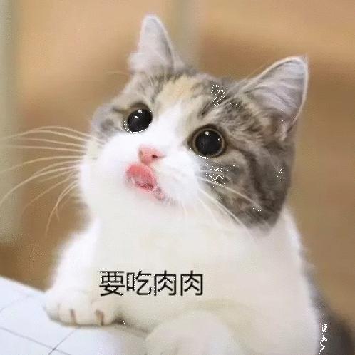 相濡以沫