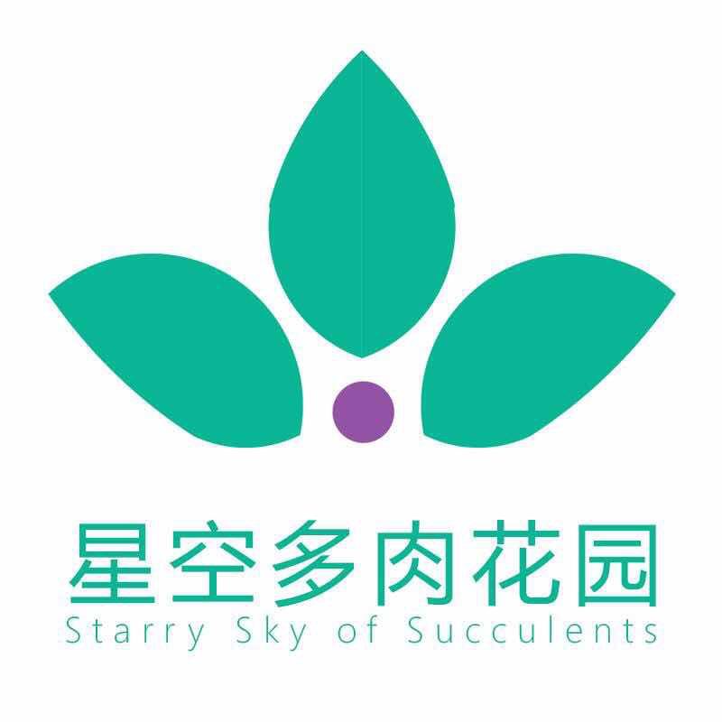 星空多肉园艺