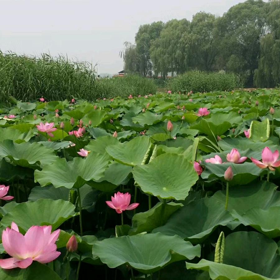 改变格局💪💪💪