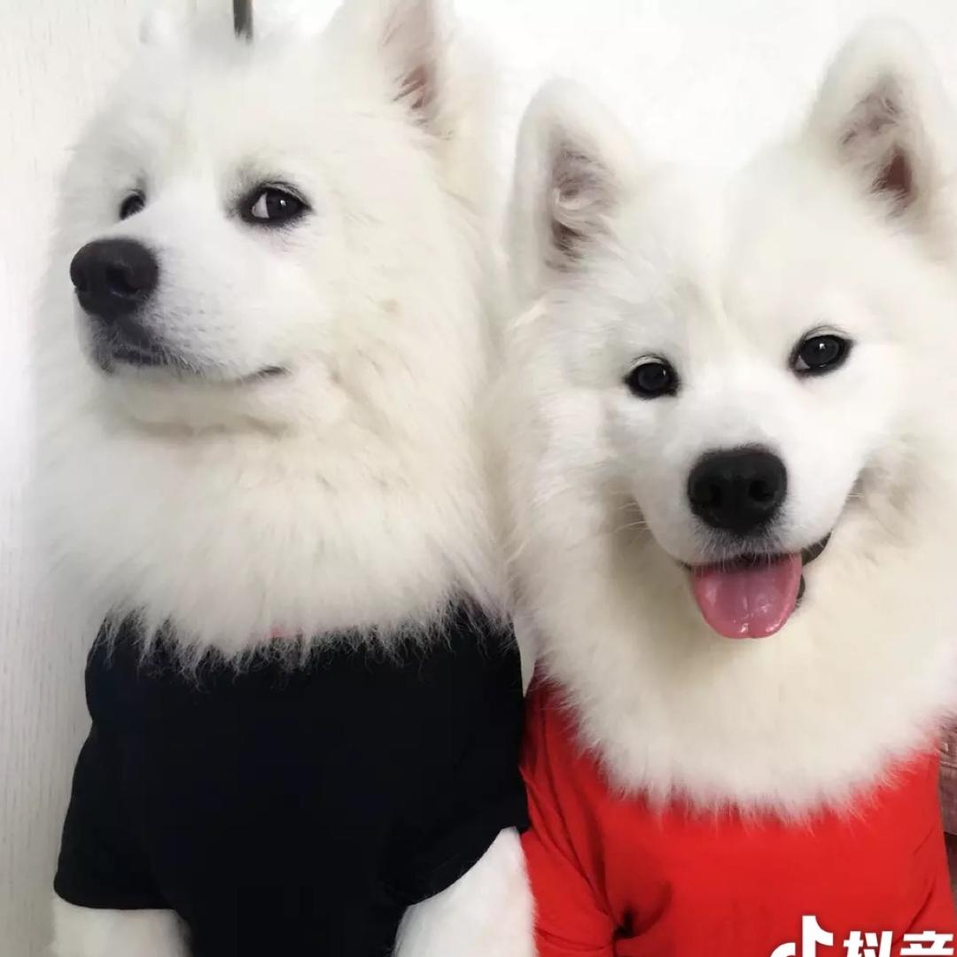 鲁卡妈咪