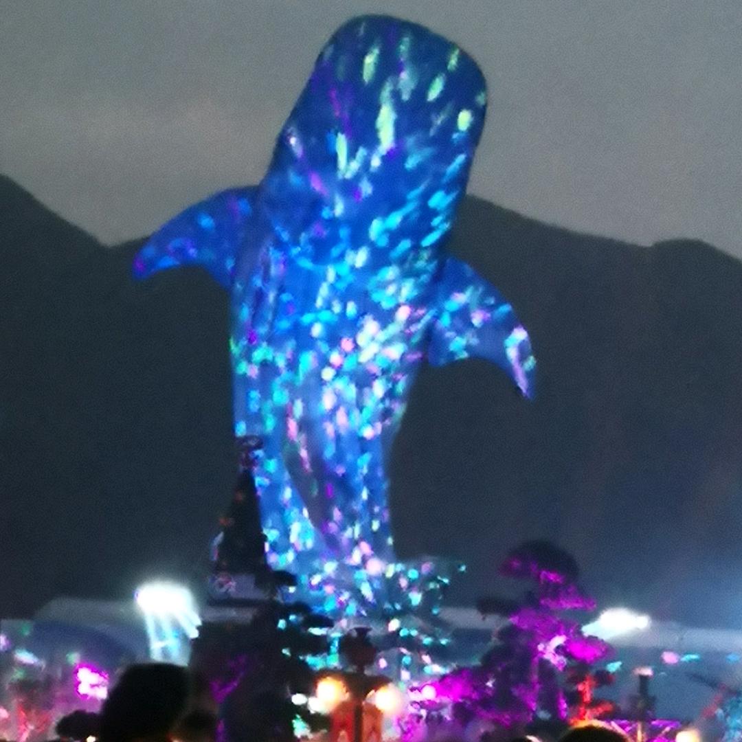 醉酒离歌
