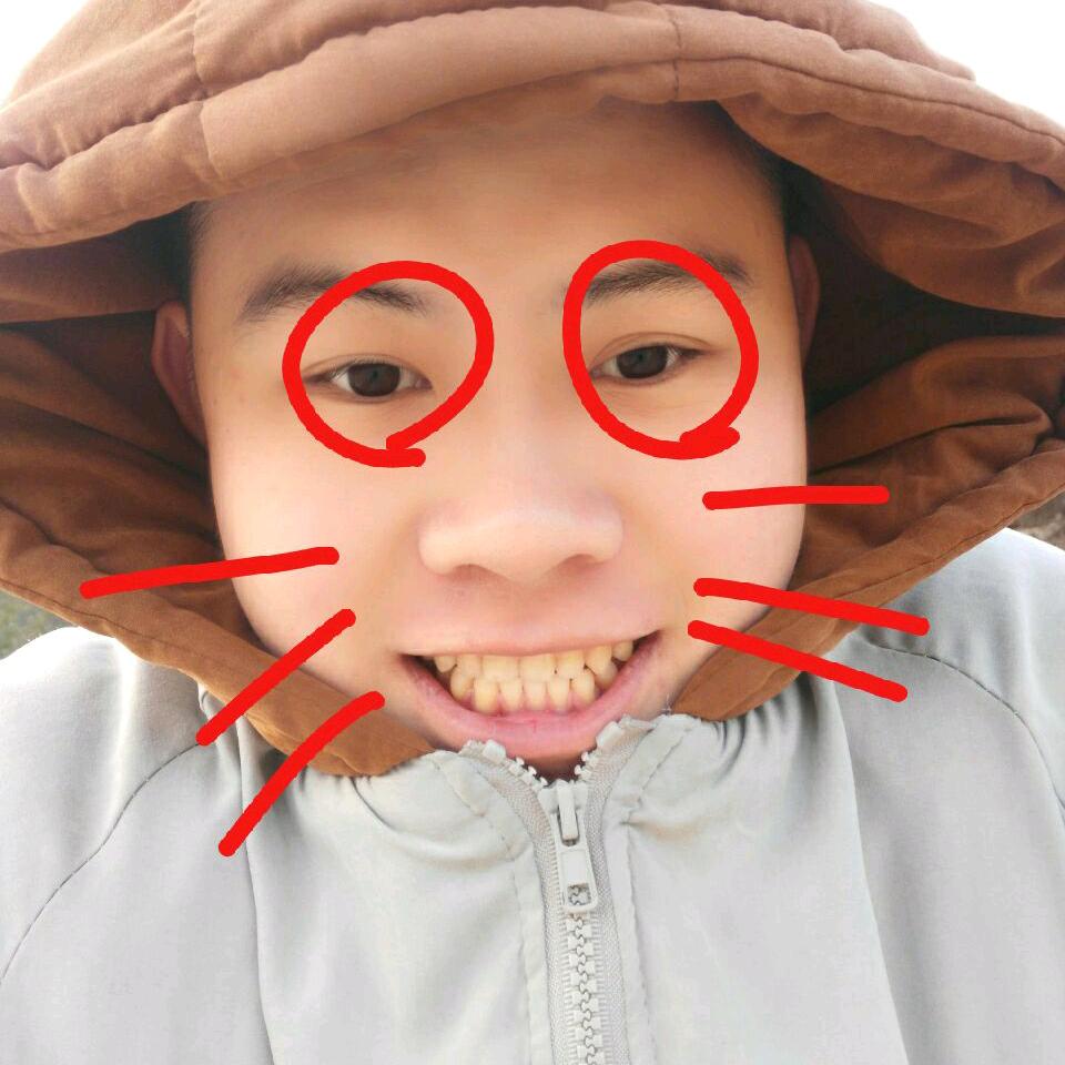 千贺蓝颜❁977❁