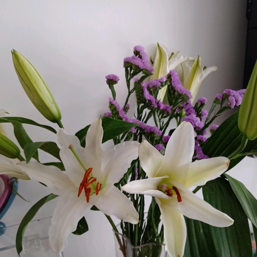 清新的早晨