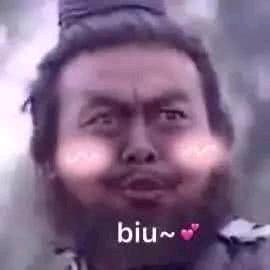胖大※