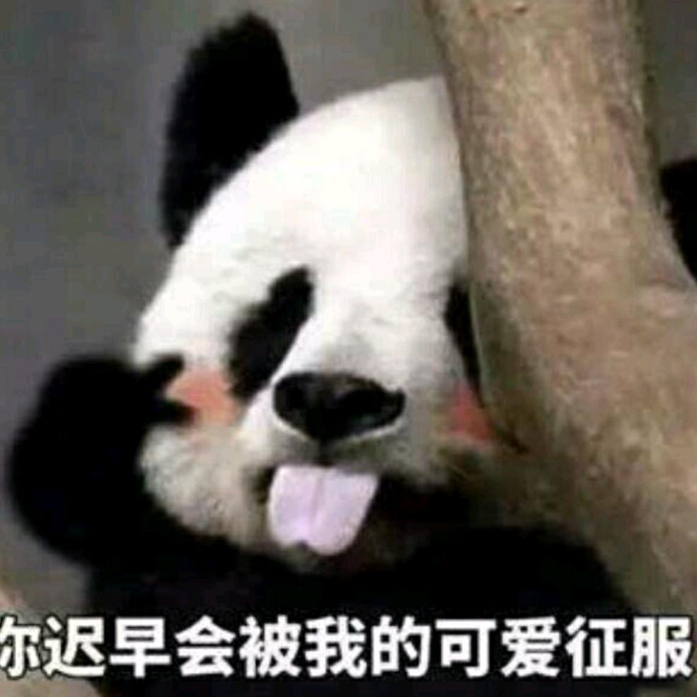 舟谣⁹¹⁶