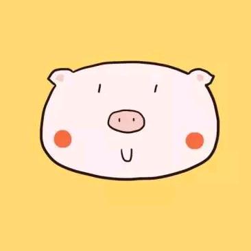 猪二六(招新）