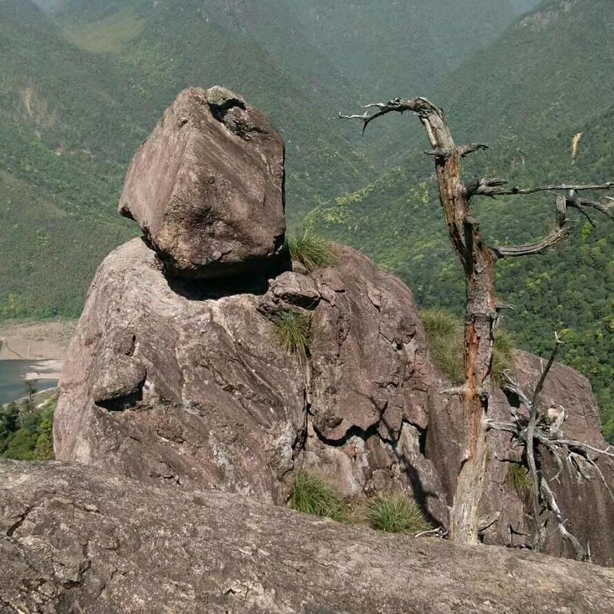 能量