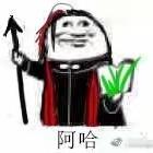 某叶