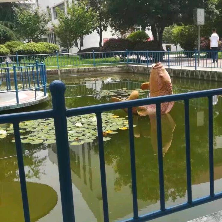 湖南升学范老师