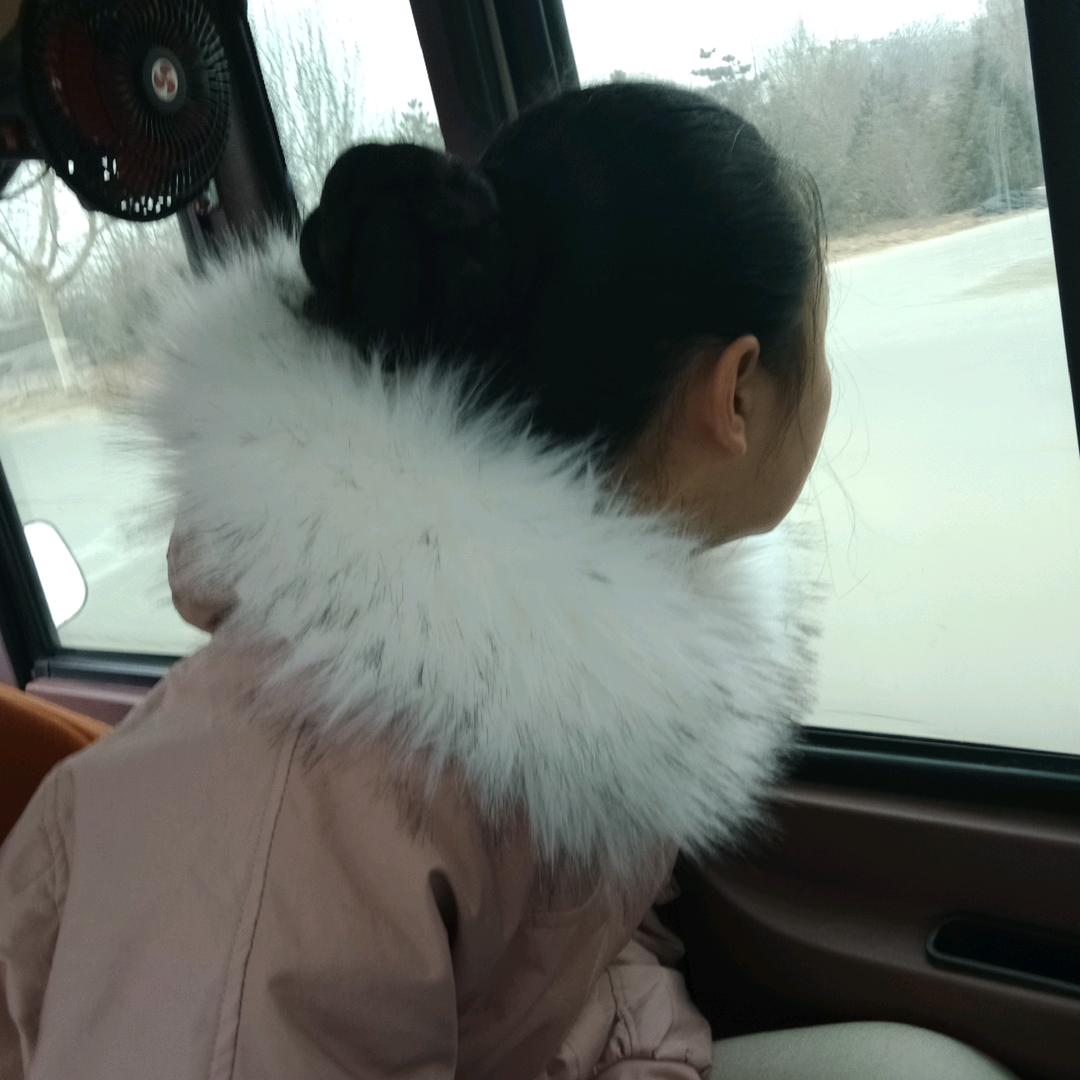不想瘦的胖子