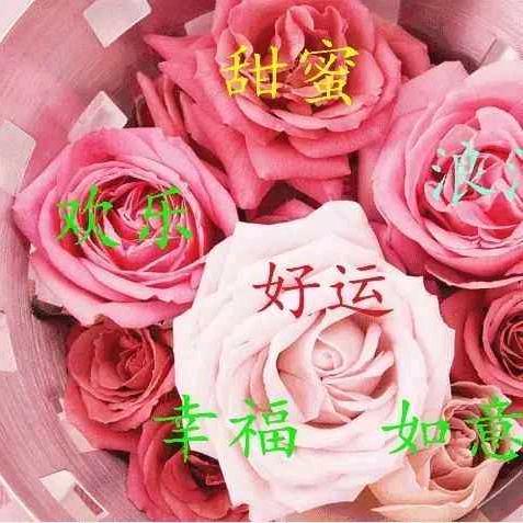 青青草