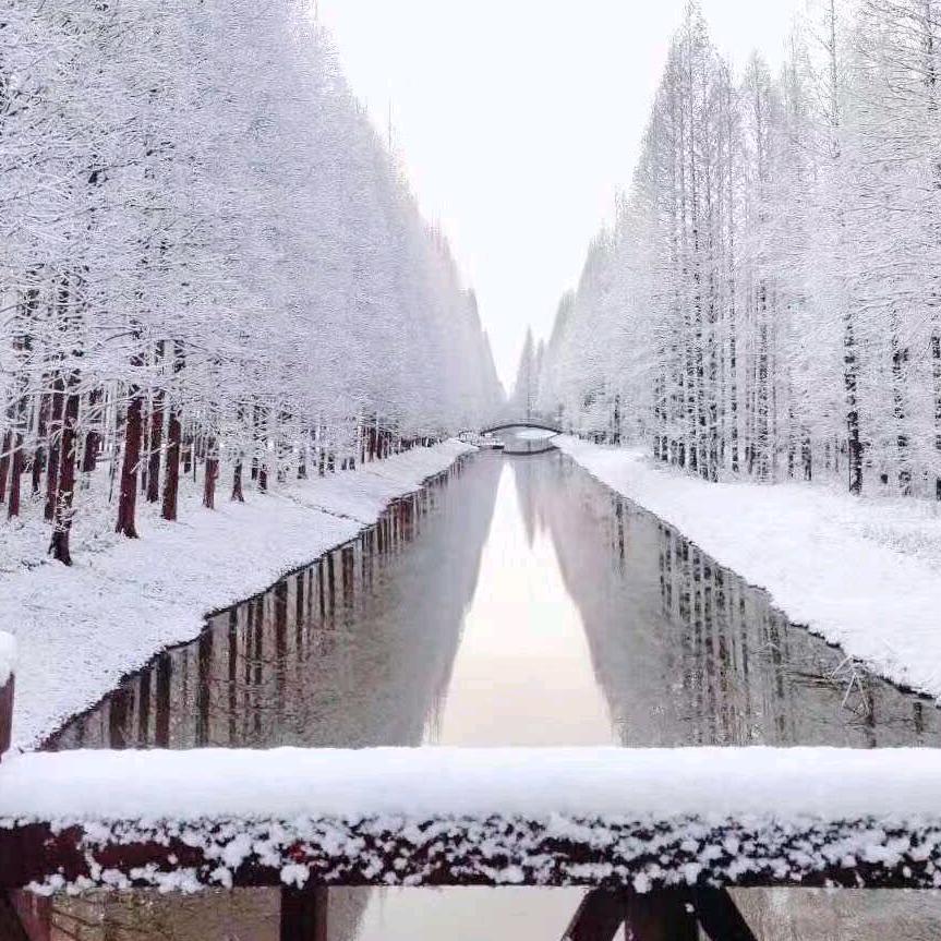 随风飘扬