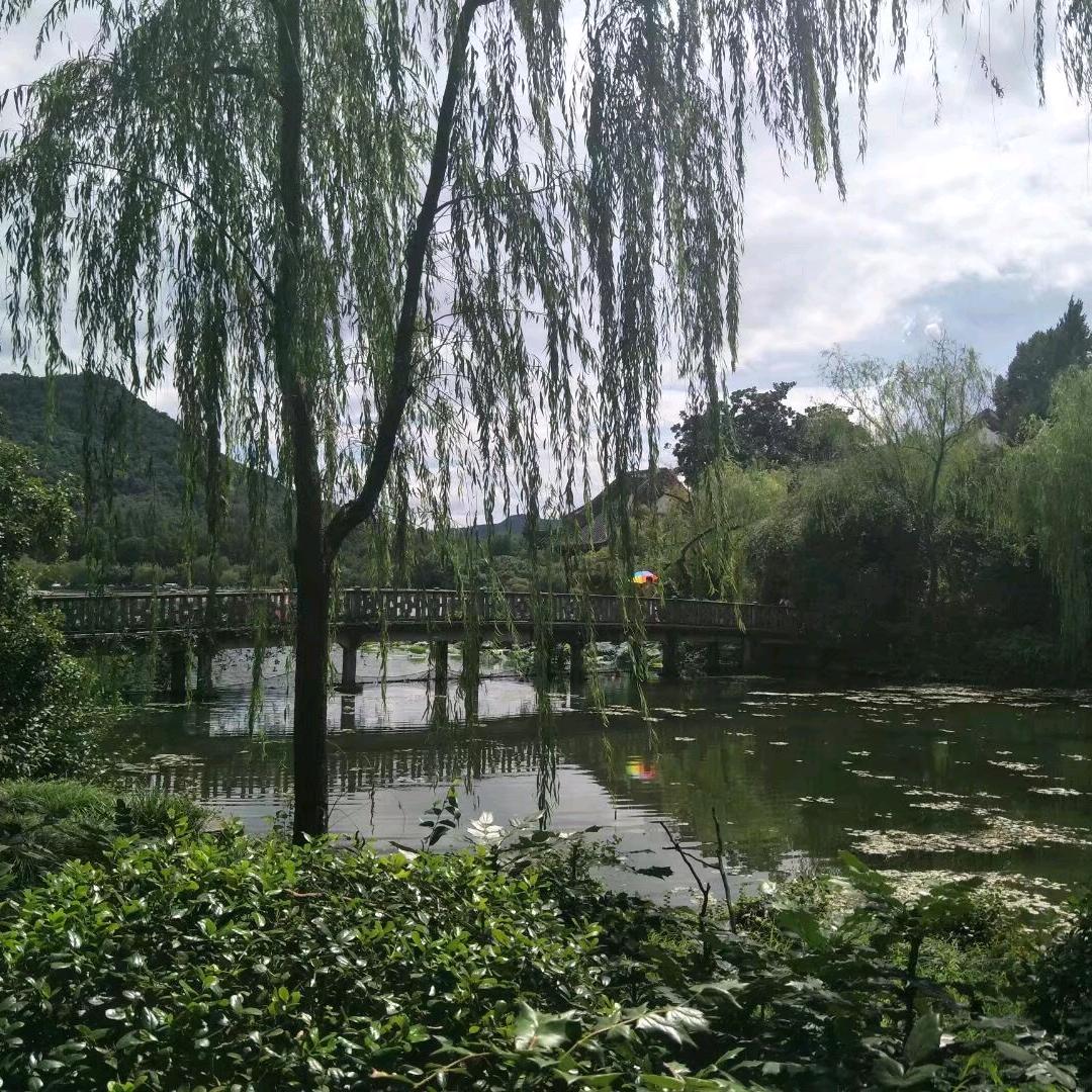 山峰之巅130
