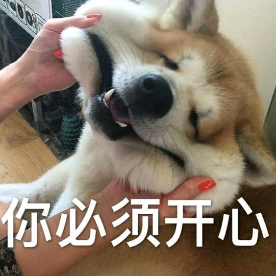 三只喵模玩