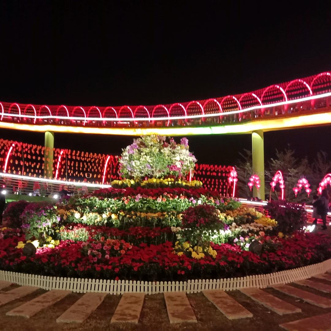 小蔡