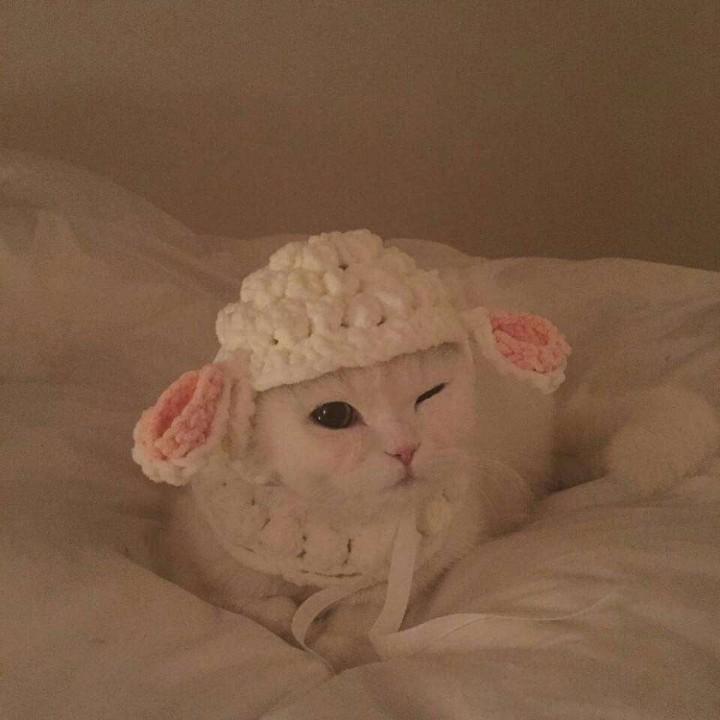 詹维徐.