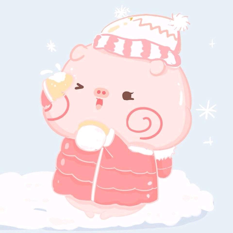 小透明
