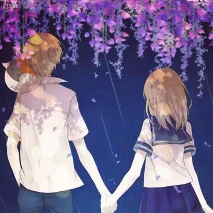 广西北海皓森罗汉松