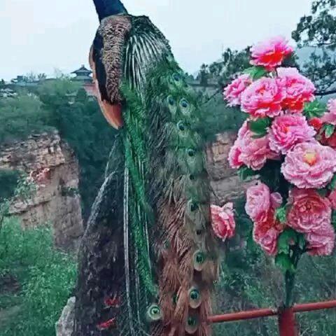人生论道