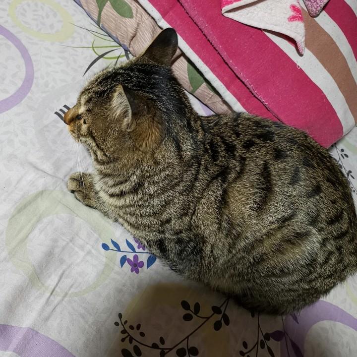 清空
