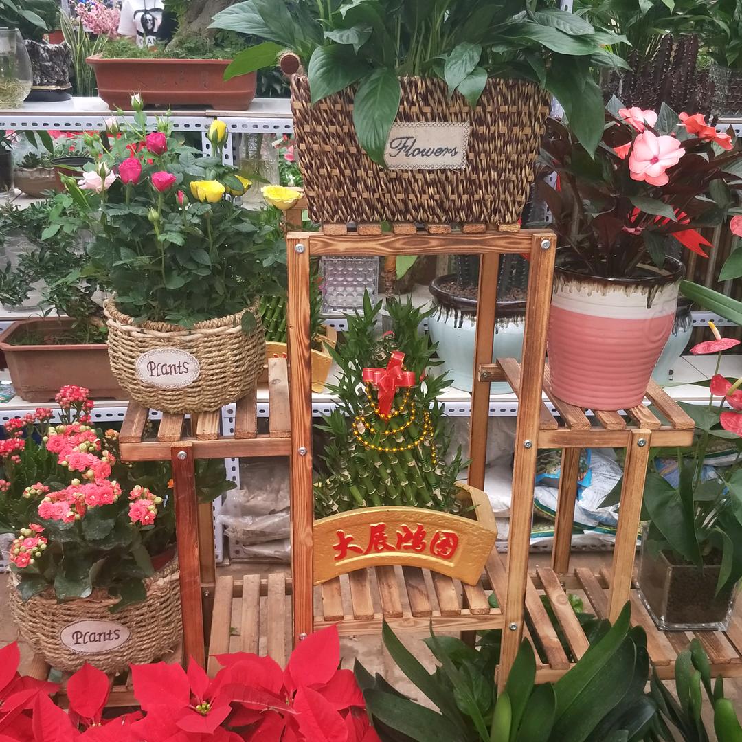 聚隆干果日升月恒