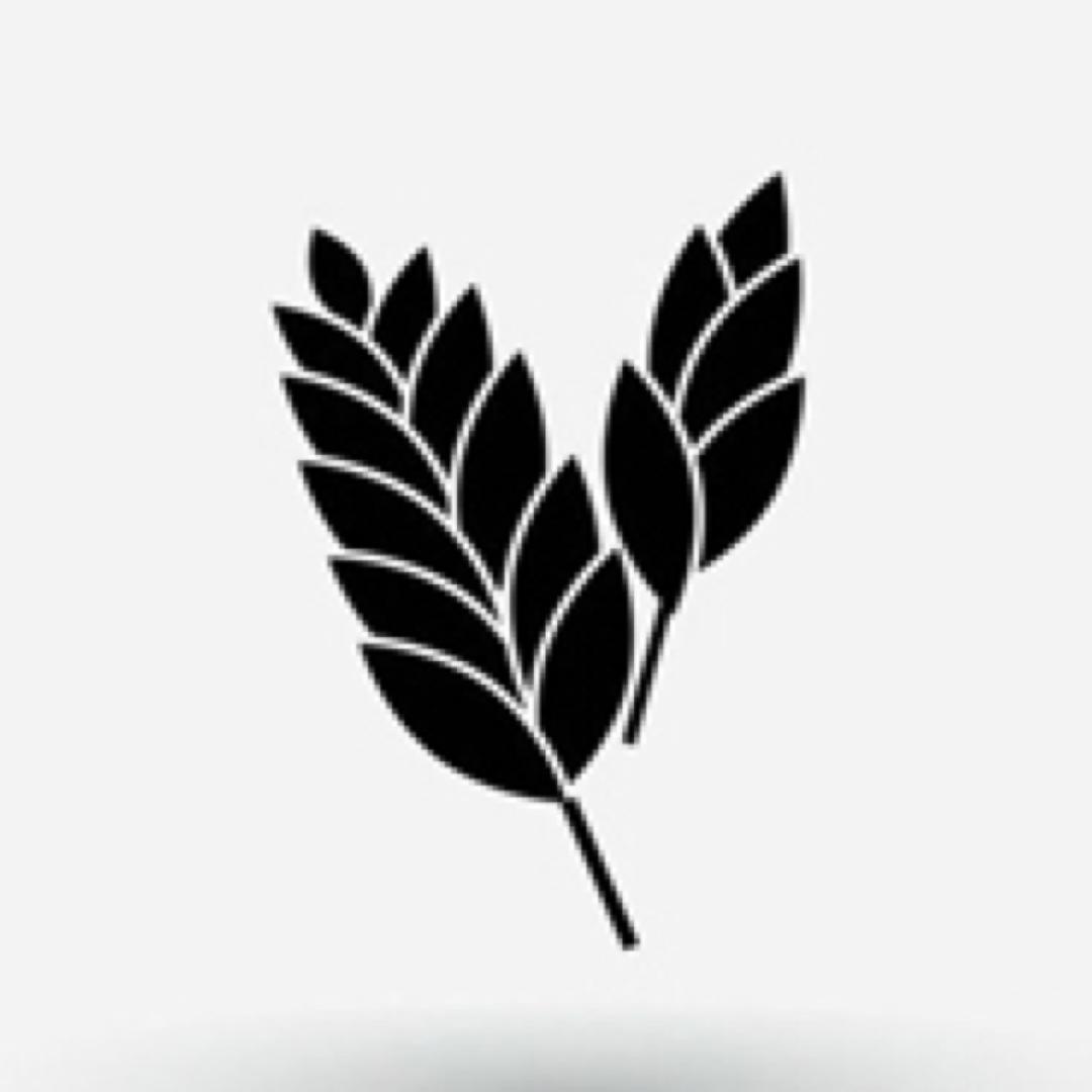 晓麦说电影