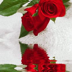 用户1541476488373平淡