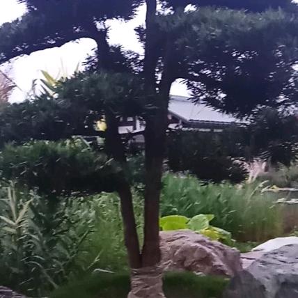 用户479638433769军风雨同舟